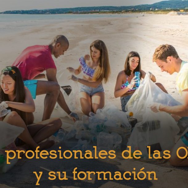 Formación profesionales ONGs