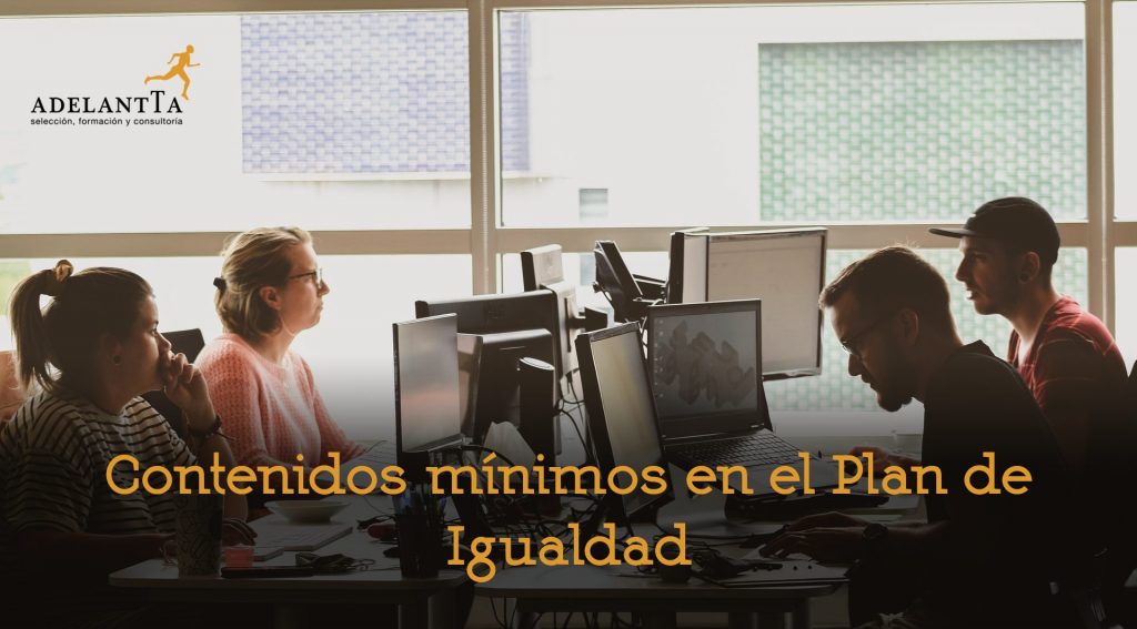 contenidos minimos en el plan de igualdad