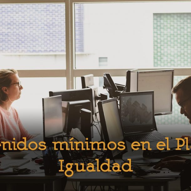 contenidos minimos en el plan de igualdad