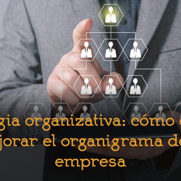 estrategia organizativa empresa