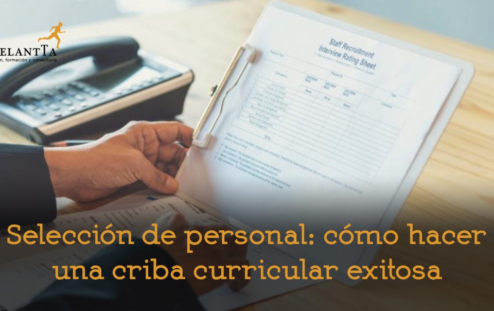 seleccion como hacer una criba curricular