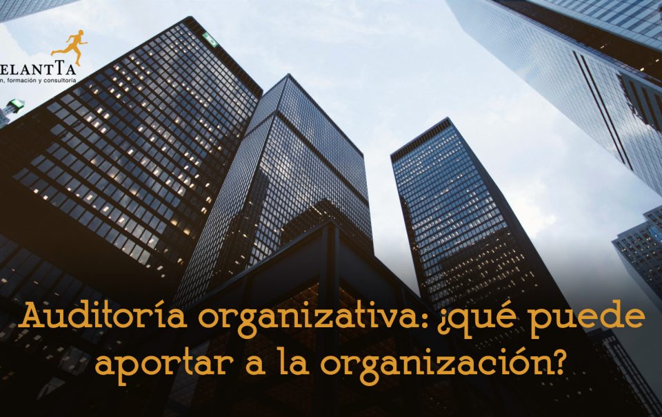 auditoría organizativa empresa organización consultoría recursos humanos