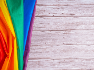 curso Plan de Gestión de la Diversidad LGTBI en la empresa 30 H elearning recursos humanos adelantta