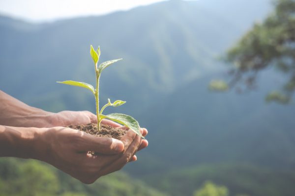 Gestión medioambiental en industrias de proceso de fabricación de productos cerámicos