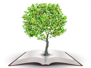 Normativa medioambiental en la industria editorial